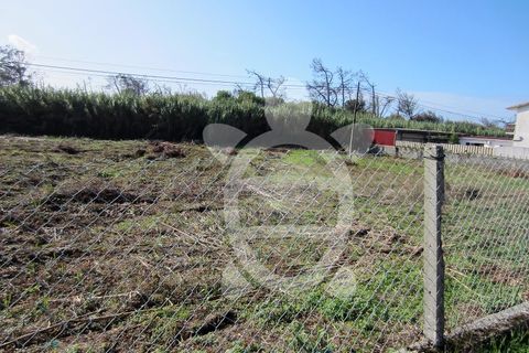 Helårsgrund i Lavos, Coimbra, Lavos - € 135.000 | Ref: ff1189 - foto 6