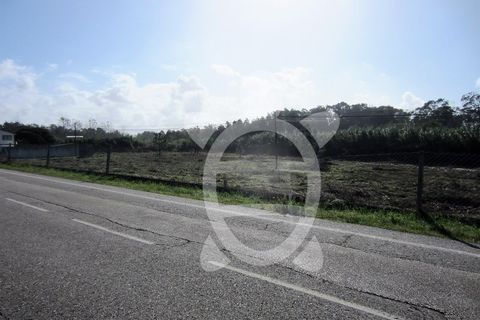 Helårsgrund i Lavos, Coimbra, Lavos - € 135.000 | Ref: ff1189 - foto 8