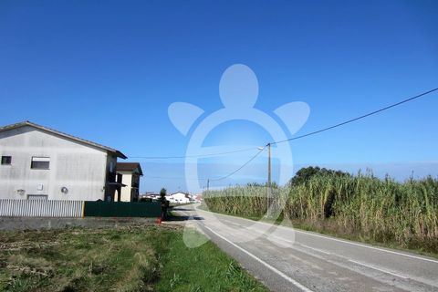 Helårsgrund i Lavos, Coimbra, Lavos - € 135.000 | Ref: ff1189 - foto 10