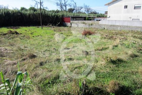 Helårsgrund i Lavos, Coimbra, Lavos - € 135.000 | Ref: ff1189 - foto 11