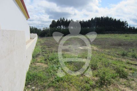 Helårsgrund i Pombal, Leiria, Pombal - € 56.500 | Ref: ff1165 - foto 1