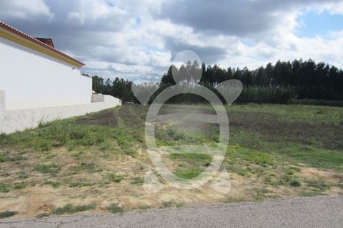 Helårsgrund i Pombal, Leiria, Pombal - € 56.500 | Ref: ff1165 - foto 2