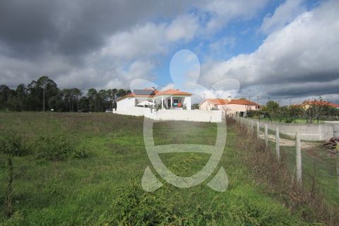 Helårsgrund i Pombal, Leiria, Pombal - € 56.500 | Ref: ff1165 - foto 3