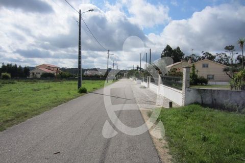 Helårsgrund i Pombal, Leiria, Pombal - € 56.500 | Ref: ff1165 - foto 5