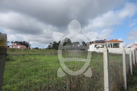 Helårsgrund i Pombal, Leiria, Pombal - € 56.500 | Ref: ff1165 - foto 6