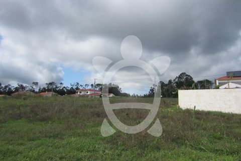 Helårsgrund i Pombal, Leiria, Pombal - € 56.500 | Ref: ff1165 - foto 7