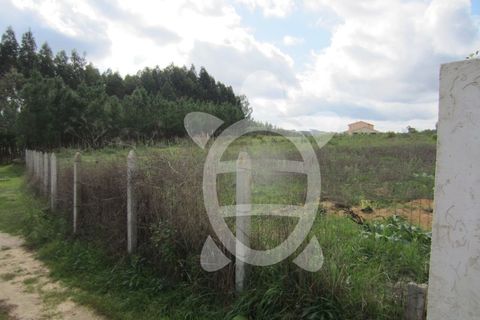 Helårsgrund i Pombal, Leiria, Pombal - € 56.500 | Ref: ff1165 - foto 8