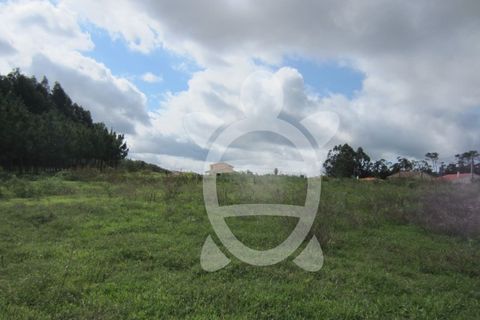Helårsgrund i Pombal, Leiria, Pombal - € 56.500 | Ref: ff1165 - foto 9