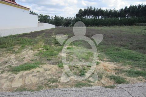 Helårsgrund i Pombal, Leiria, Pombal - € 56.500 | Ref: ff1165 - foto 10