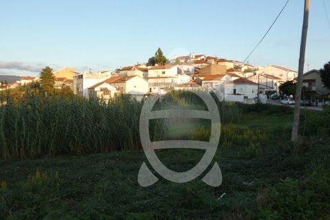 Helårsgrund i Coimbra, Coimbra, Coimbra - € 1.300.000 | Ref: cbr2498 - foto 2