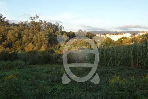 Helårsgrund i Coimbra, Coimbra, Coimbra - € 1.300.000 | Ref: cbr2498 - foto 3