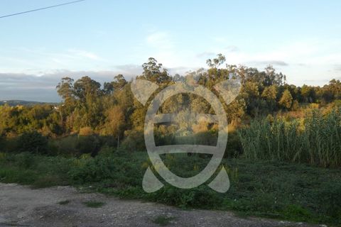 Helårsgrund i Coimbra, Coimbra, Coimbra - € 1.300.000 | Ref: cbr2498 - foto 6