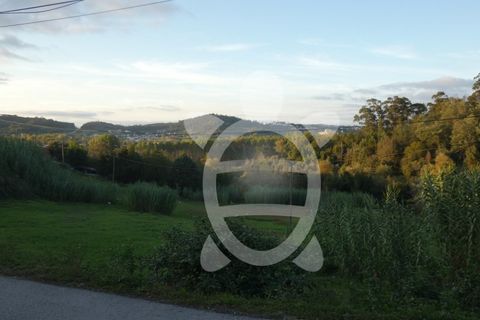 Helårsgrund i Coimbra, Coimbra, Coimbra - € 1.300.000 | Ref: cbr2498 - foto 7
