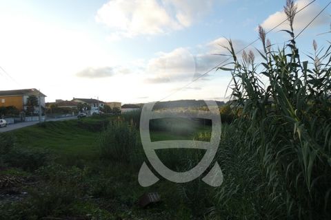 Helårsgrund i Coimbra, Coimbra, Coimbra - € 1.300.000 | Ref: cbr2498 - foto 8