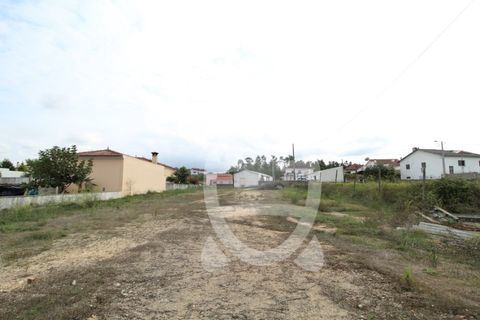 Helårsgrund i Coimbra, Coimbra, Coimbra - € 86.500 | Ref: cdx0500 - foto 5
