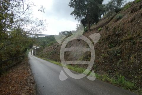 Tomt i Ceira, Coimbra, Ceira - € 59 500 | Ref: cbr2460 - foto 3