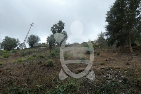 Tomt i Ceira, Coimbra, Ceira - € 59 500 | Ref: cbr2460 - foto 9
