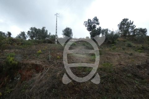 Tomt i Ceira, Coimbra, Ceira - € 59 500 | Ref: cbr2460 - foto 11