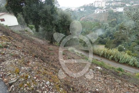 Tomt i Ceira, Coimbra, Ceira - € 59 500 | Ref: cbr2460 - foto 15