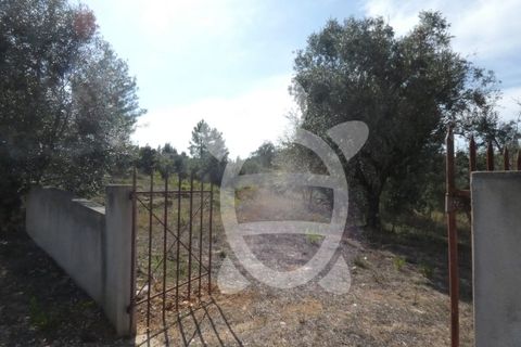 Helårsgrund i Assafarge e Antanhol, Coimbra, Assafarge e Antanhol - € 230.000 | Ref: cbr2445 - foto 2