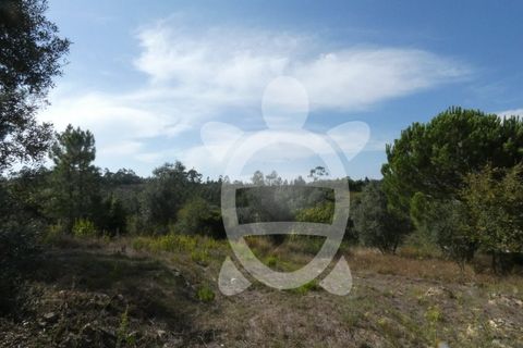Helårsgrund i Assafarge e Antanhol, Coimbra, Assafarge e Antanhol - € 230.000 | Ref: cbr2445 - foto 3