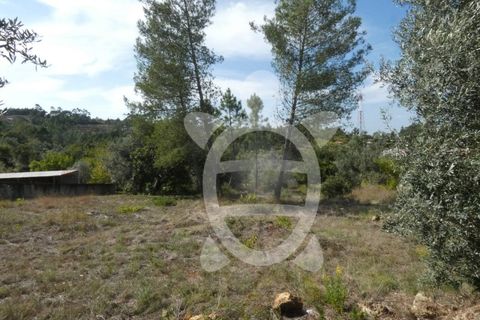 Helårsgrund i Assafarge e Antanhol, Coimbra, Assafarge e Antanhol - € 230.000 | Ref: cbr2445 - foto 4