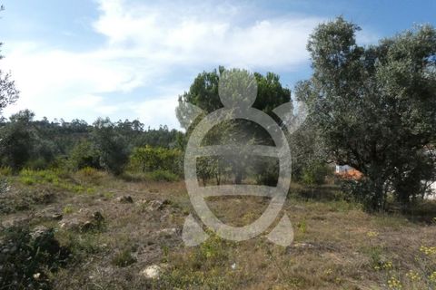Helårsgrund i Assafarge e Antanhol, Coimbra, Assafarge e Antanhol - € 230.000 | Ref: cbr2445 - foto 5