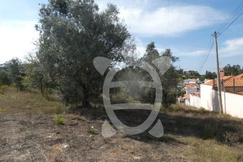 Helårsgrund i Assafarge e Antanhol, Coimbra, Assafarge e Antanhol - € 230.000 | Ref: cbr2445 - foto 6