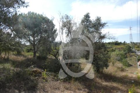 Helårsgrund i Assafarge e Antanhol, Coimbra, Assafarge e Antanhol - € 230.000 | Ref: cbr2445 - foto 7