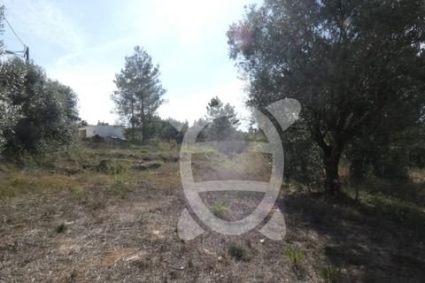Helårsgrund i Assafarge e Antanhol, Coimbra, Assafarge e Antanhol - € 230.000 | Ref: cbr2445 - foto 9