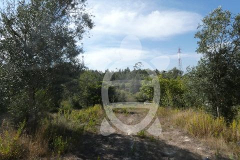 Helårsgrund i Assafarge e Antanhol, Coimbra, Assafarge e Antanhol - € 230.000 | Ref: cbr2445 - foto 10