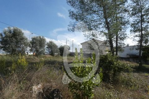 Helårsgrund i Assafarge e Antanhol, Coimbra, Assafarge e Antanhol - € 230.000 | Ref: cbr2445 - foto 12