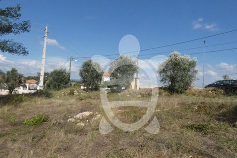 Helårsgrund i Assafarge e Antanhol, Coimbra, Assafarge e Antanhol - € 230.000 | Ref: cbr2445 - foto 14