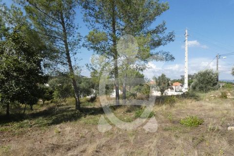 Helårsgrund i Assafarge e Antanhol, Coimbra, Assafarge e Antanhol - € 230.000 | Ref: cbr2445 - foto 15