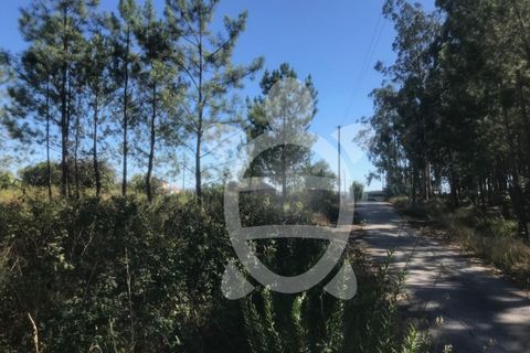 Helårsgrund i Leiria, Leiria, Leiria - € 52.900 | Ref: ff1131 - foto 13