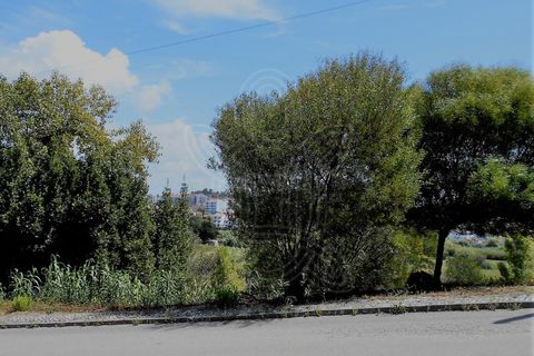 Helårsgrund i Buarcos, Coimbra, Buarcos - € 70.000 | Ref: ff1120 - foto 9
