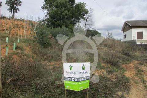 Helårsgrund i Condeixa-a-Nova, Coimbra, Condeixa-a-Nova - € 45.000 | Ref: cdx0481 - foto 1