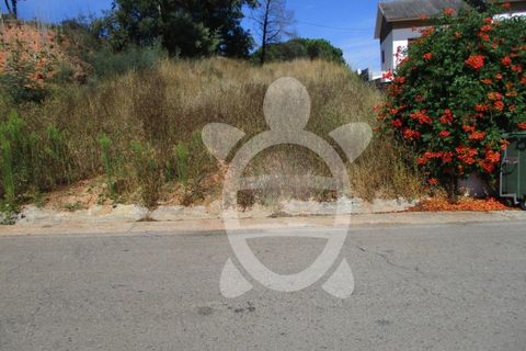 Helårsgrund i Condeixa-a-Nova, Coimbra, Condeixa-a-Nova - € 45.000 | Ref: cdx0481 - foto 2