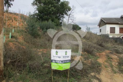 Helårsgrund i Condeixa-a-Nova, Coimbra, Condeixa-a-Nova - € 45.000 | Ref: cdx0481 - foto 4