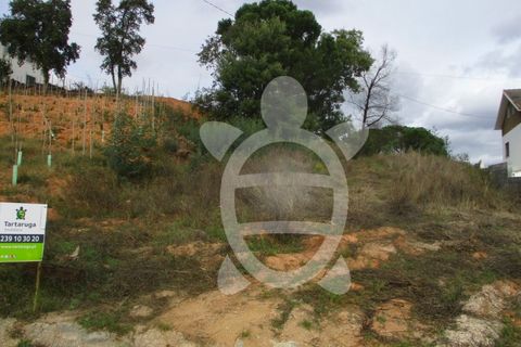 Helårsgrund i Condeixa-a-Nova, Coimbra, Condeixa-a-Nova - € 45.000 | Ref: cdx0481 - foto 5