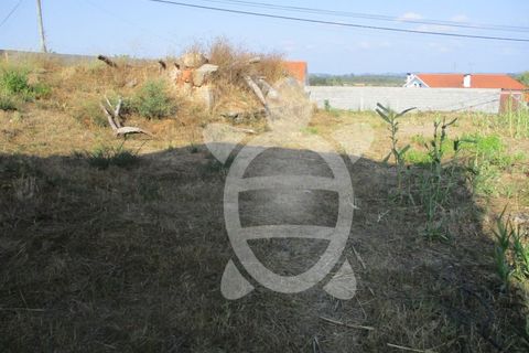 Helårsgrund i Coimbra, Coimbra, Coimbra - € 35.000 | Ref: cdx0477 - foto 4