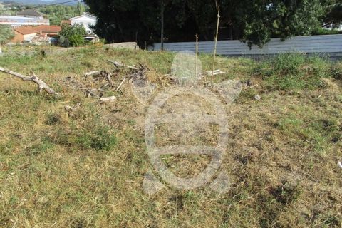 Helårsgrund i Coimbra, Coimbra, Coimbra - € 35.000 | Ref: cdx0477 - foto 6