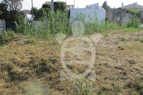 Helårsgrund i Coimbra, Coimbra, Coimbra - € 35.000 | Ref: cdx0477 - foto 7