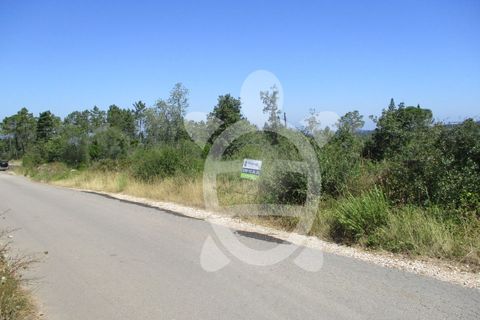 Terra a Cernache, Coimbra, Cernache - € 56.500 | Ref: cbr2409 - foto 3