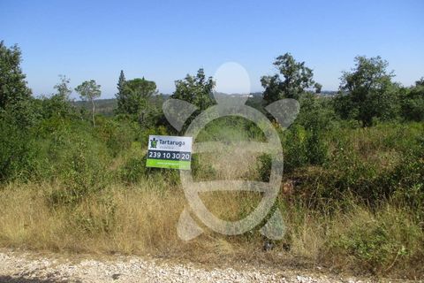 Terra a Cernache, Coimbra, Cernache - € 56.500 | Ref: cbr2409 - foto 2