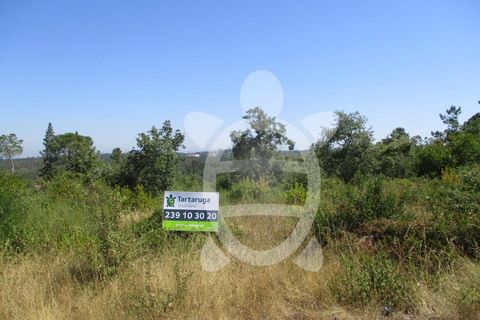 Terra a Cernache, Coimbra, Cernache - € 56.500 | Ref: cbr2409 - foto 4