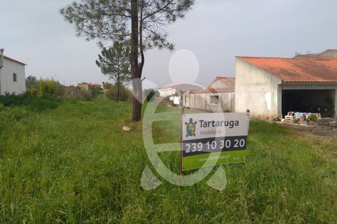 Helårsgrund i Coimbra, Coimbra, Coimbra - € 30.000 | Ref: cdx0474 - foto 3