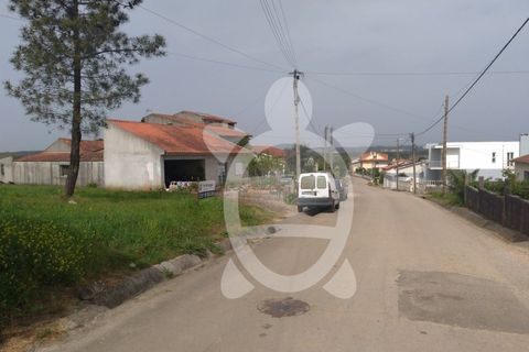 Helårsgrund i Coimbra, Coimbra, Coimbra - € 30.000 | Ref: cdx0474 - foto 4