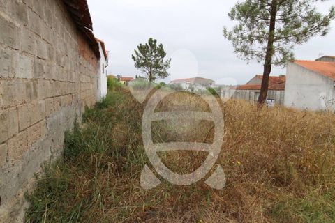 Helårsgrund i Coimbra, Coimbra, Coimbra - € 30.000 | Ref: cdx0474 - foto 6