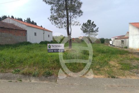 Helårsgrund i Coimbra, Coimbra, Coimbra - € 30.000 | Ref: cdx0474 - foto 7